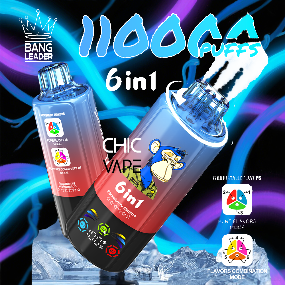 BANG LEADER 110000 ZÜGE (6 in 1)