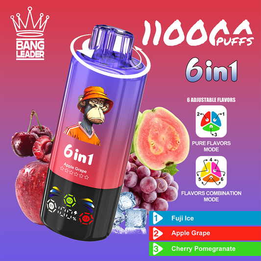 Bang Leader 110000 Züge (6 in 1) - Fuji Ice / Apple Grape / Cherry Pomegranate