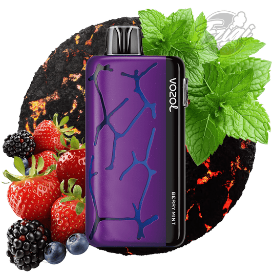 VOZOL NEON 45000 ZÜGE - Berry Mint